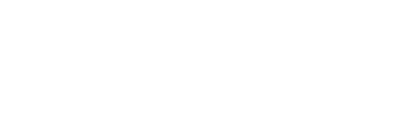 Boss Visuals